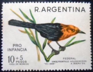 Selo postal da Argentina de 1967 Scarlet-headed Blackbird N