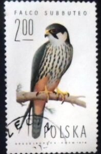Selo postal da Polônia de 1975  Eurasian Hobby U