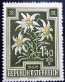 Selo postal da Áustria de 1948 Edelweiss N