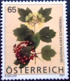 Selo postal da Áustria de 2007 Guelder Rose N