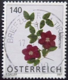 Selo postal da Áustria de 2007 Clematis U
