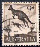 Selo postal da Austrália de 1959 Eastern Grey Kangaroos U