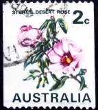 Selo postal da Austrália de 1971 Sturt's Desert Rose U