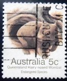 Selo postal da AUstrália de 1983 Queensland Hairy-nosed Wombat U