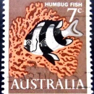 Selo postal da Austrália de 1966 Humbug Fish U