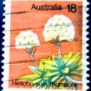 Selo postal da Austrália de 1975 Helichrysum thomsonii U