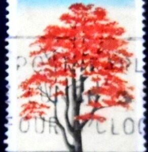Selo postal da Austrália de 1978 Illawarra Flame Tree U