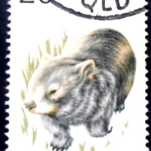 Selo postal da Austrália de 1974 Common Wombat U