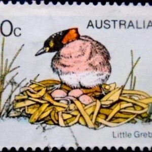 Selo postal da AUstrália de 1978 Little Grebe U