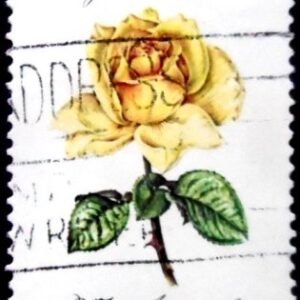 Selo postal da Austrália de 1982 Marjorie Atherton U