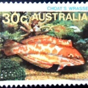 Selo postal da Austrália de 1984 Choat's Red Leopard Wrasse U