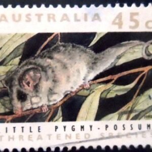 Selo postal da Austrália de 1992 Little Pygmy Possum U sev