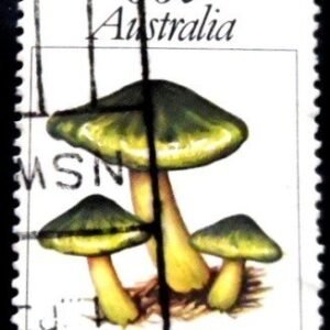 Selo postal da Austrália de 1981 Cortinarius cinnabarinus U