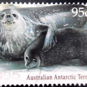Selo postal do Território Antártico Australiano de 1992 Weddell Seal U