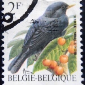 Selo postal da Bélgica de 1992 Common Blackbird U