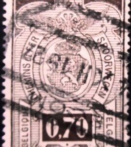 Selo postal da Bélgica de 1924 Coat of Arms 0.70 U E sev
