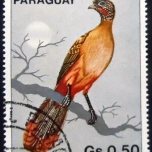 Selo postal do Paraguai de 1983 Rufous-vented Chachalaca MCC