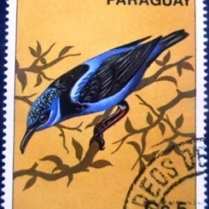 Selo postal do Paraguai de 1983 Red-legged Honeycreeper MCC