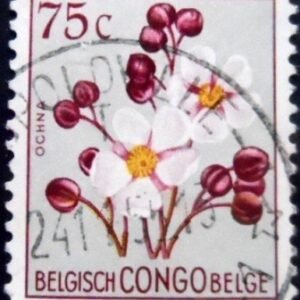 Selo postal do Congo Belga de 1952 Ochna sp. U