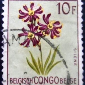 Selo postal do Congo Belga de 1952 Silene burchellii U