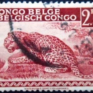 Selo postal do Congo Belga de 1942 Leopard U