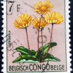 Selo postal do COngo Belga de 1952 Gerbera discolor U