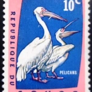 Selo postal do Congo de 1963 Great White Pelican N