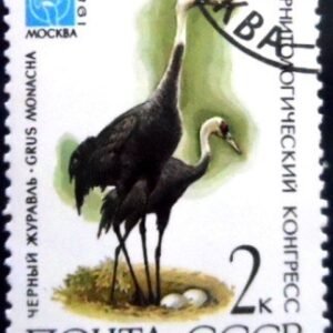 Selo postal da União Soviética de 1982 Hooded Crane MCC