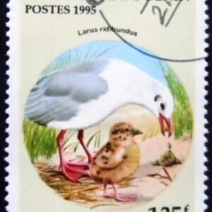 Selo postal do Benin de 1995 Black-headed Gull NCC