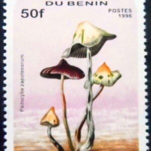 Selo postal do Benin de 1996 Psilocybe zapotecorum M
