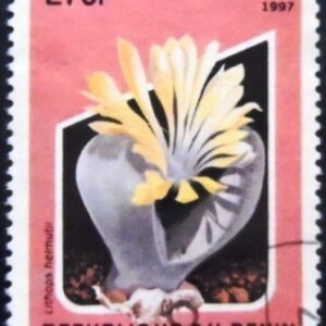 Selo postal do Benin de 1997 Lithops helmutti NCC