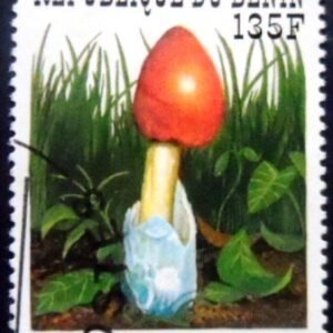 Selo postal do Benin de 1997 Amanita caesarea NCC
