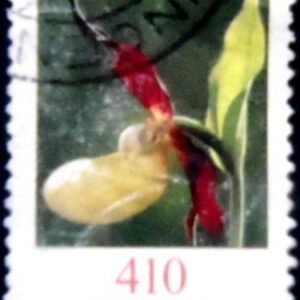 Selo postal da Alemanha de 2010 Cypripedium calceolus U