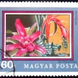Selo postal da Hungria de 1971 Bromeliad MCC