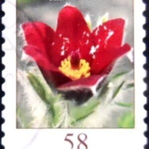 Selo postal da Alemanha de 2012 Pasque Flower U