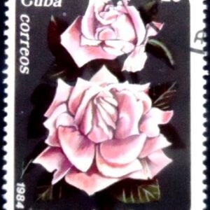 Selo postal de Cuba de 1984 Pink Roses MCC