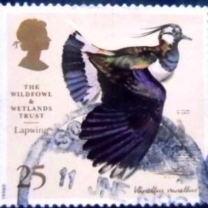 Selo postal do Reino Unido de 1996 Northern Lapwing U