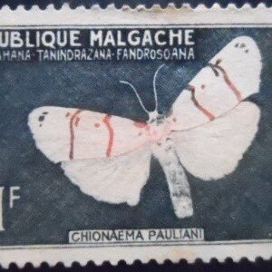 Selo postal de Madagascar de 1960 Moth N