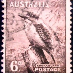 Selo postal da Austrália de 1956 Kookaburra 6 U sev