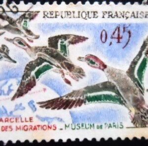 Selo postal da França de 1960 Common Teal U