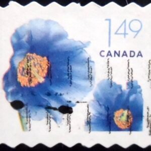 Selo postal do Canadá de 2005 Himalayan Blue Poppy U