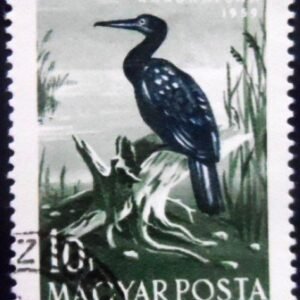 Selo postal da Hungria de 1959 Great Cormorant NCC