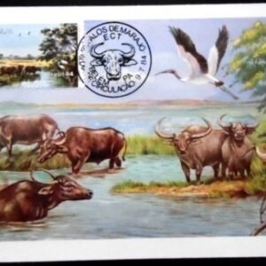 Máximo Postal nº 103A de 1984 Búfalo Carabao 5972