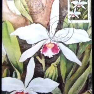 Máximo postal nº 68 de 1982 Laelia purpurata