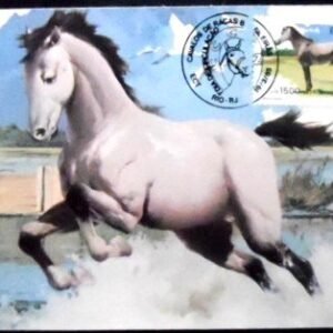 Máximo Postal nº 108 de 1985 Marajoara