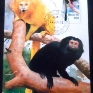 Máximo postal do Brasil de 1976 nº 45 Mico-Leão