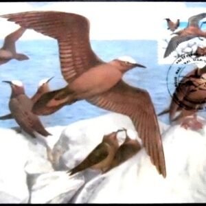 Máximo Postal nº 118 de 1985 Benedito