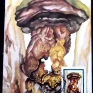 Máximo Postal nº 105 de 1984 Calvatia-sp