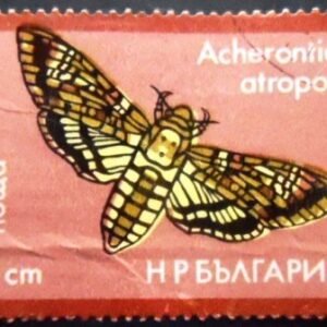 Selo postal da Bulgária de 1975 African death's-head hawkmoth U