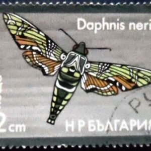 Selo postal da Bulgária de 1975 Oleander Hawk-Moth U